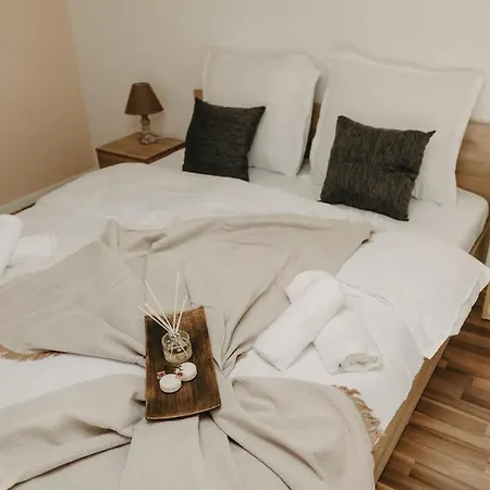 Agoston Apartment Timisoara